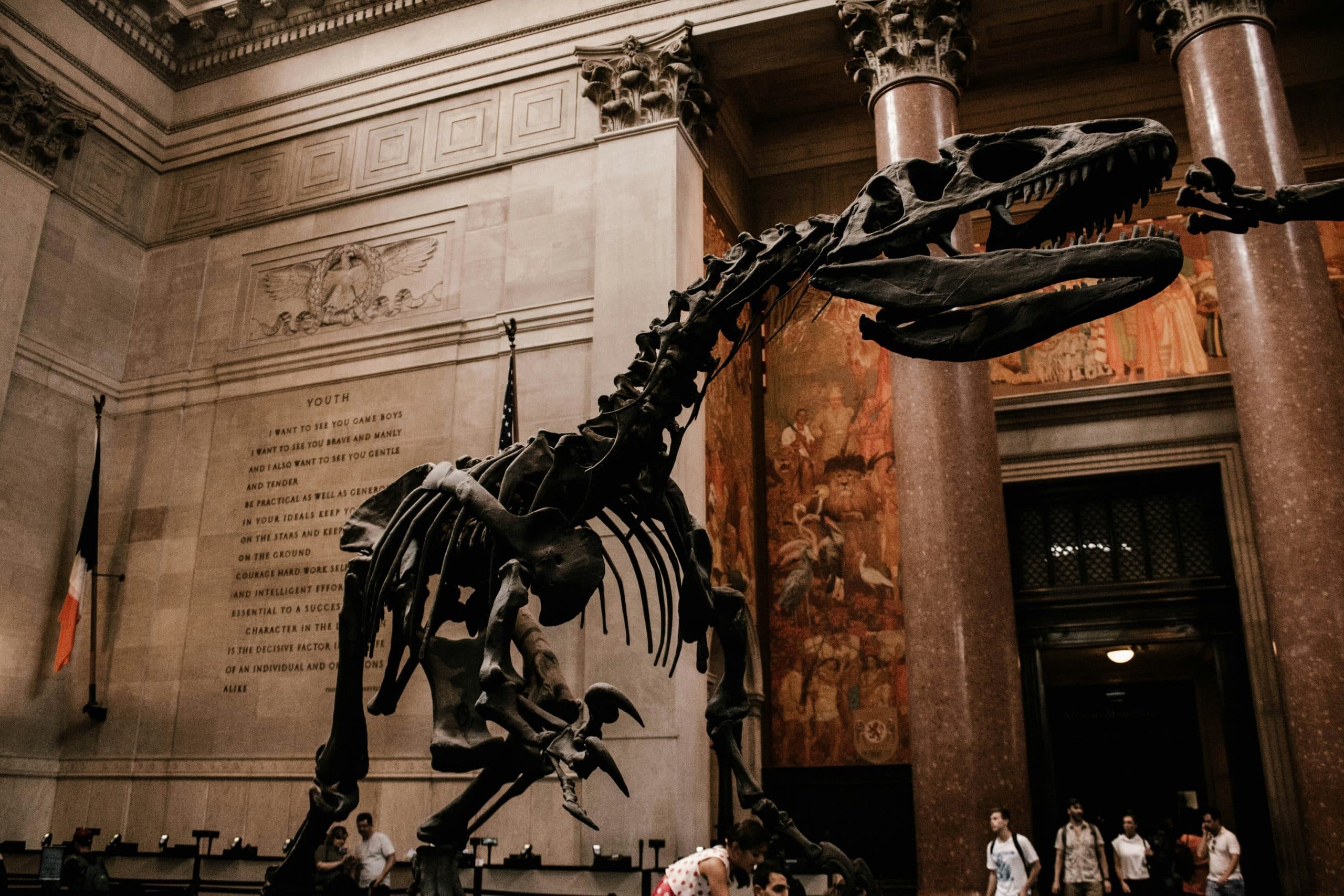 A large dinosaur skeleton, likely a theropod, is displayed in a grand museum hall with tall columns, murals, and an inscribed wall. Visitors are gathered around the exhibit in one of the Best Museums in NYC for Educational Travel.