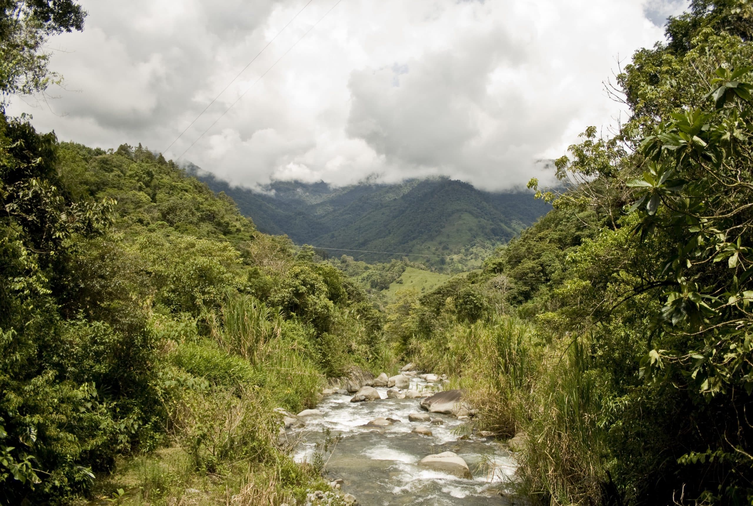 A lush green forest surrounds a rocky stream flowing through a valley, with tall mountains covered in clouds in the background under a bright sky.