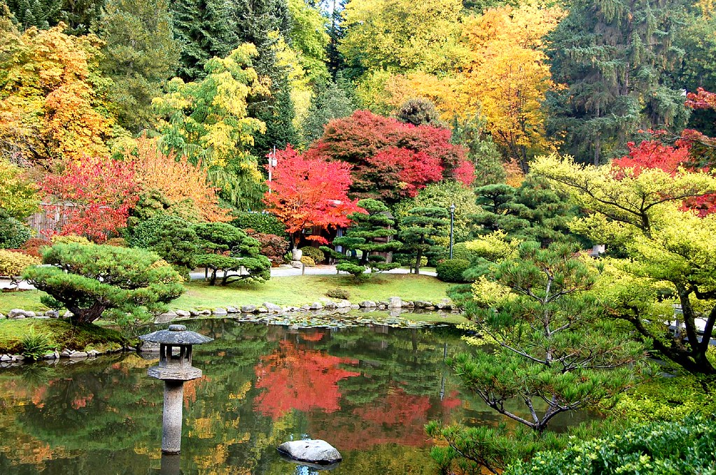 A tranquil Japanese garden, perfect for a Seattle School Trip, with a pond reflecting colorful autumn trees, manicured shrubs, and a stone lantern, all surrounded by lush greenery and vibrant red, yellow, and orange foliage.