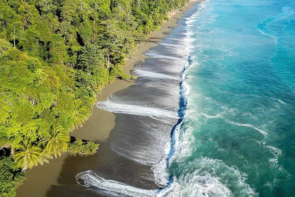 Aerial view of a tropical coastline with lush green forest on the left and blue ocean waves gently washing onto a dark sandy beach on the right.