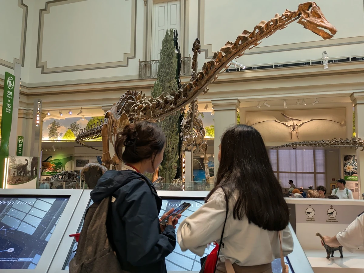 Students at an interactive screen in the Deep Time fossil hall, with sauropod skeletons behind them