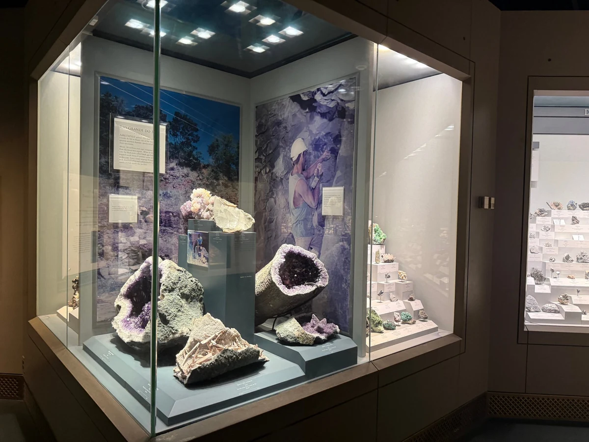 Amethyst geodes and mineral specimens in a display case in a gems and minerals hall