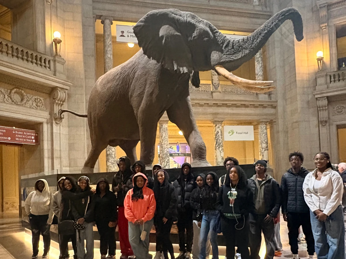 A Landmark student group beneath the elephant in the rotunda of the Smithsonian National Museum of Natural History