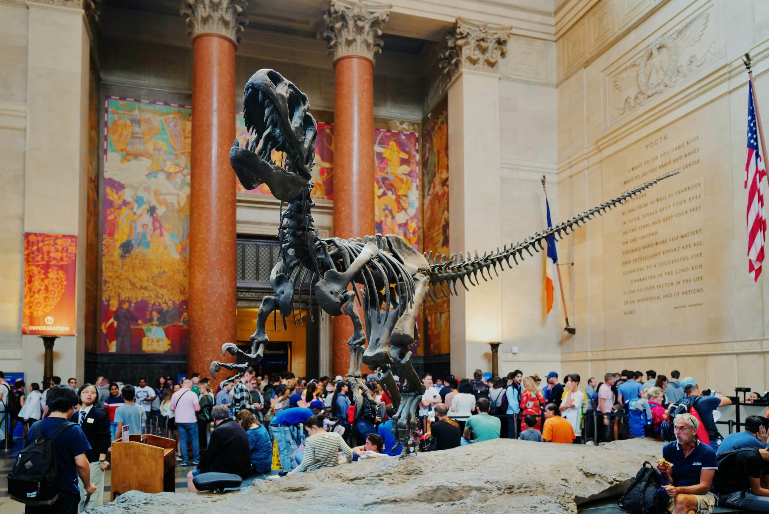 A large dinosaur skeleton is displayed in a grand museum hall with tall columns, American and French flags, colorful murals, and crowds of visitors gathered around and taking photos.