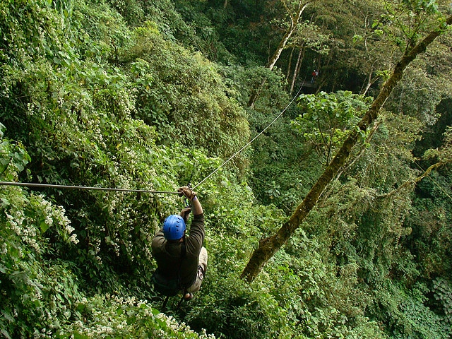 A person wearing a blue helmet is zip-lining through a lush, green forest canopy, surrounded by dense foliage and tall trees.