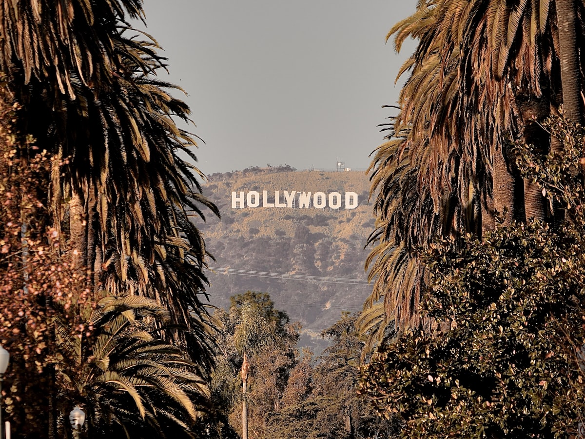 The Hollywood sign above the palm-lined streets of Los Angeles
