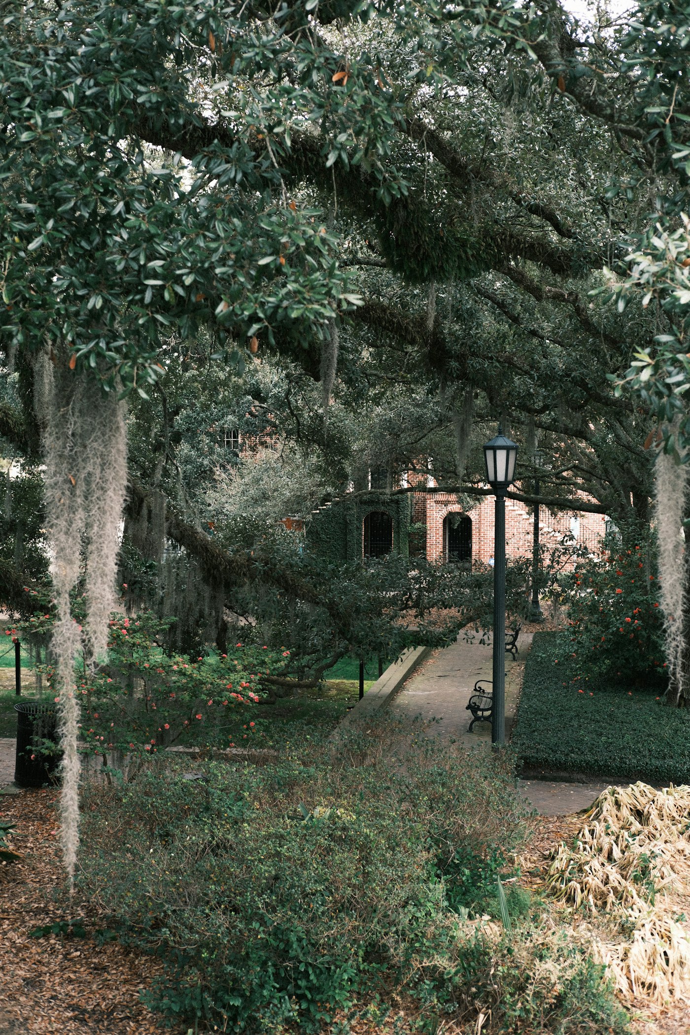 Historic squares in Savannah, Georgia