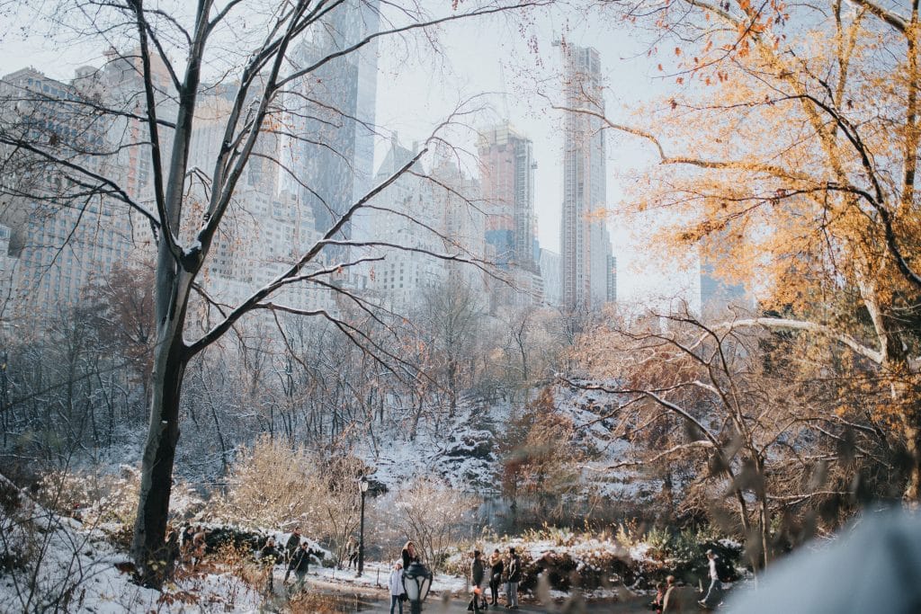 Winter Wonders: NYC Field Trip with Cold-Weather Adventures