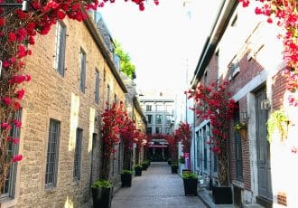 Old Montreal side street with red flowers