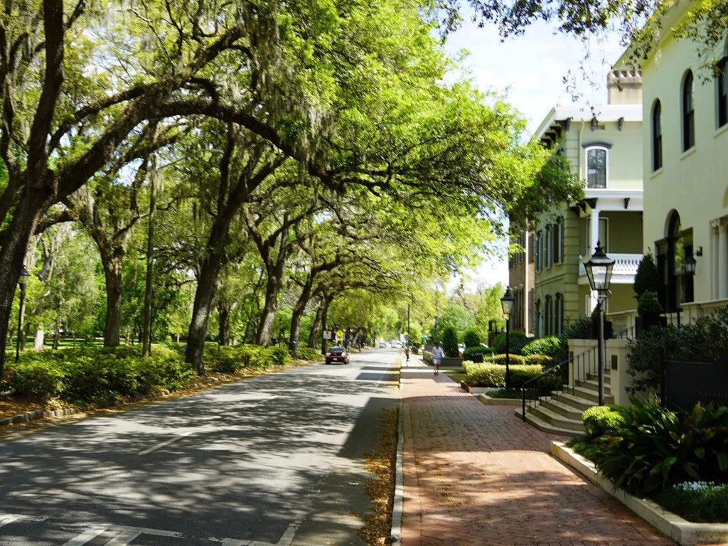 A tree-lined street with hanging moss, brick sidewalks, and historic homes glows on a sunny day. A car drives down the road as people stroll beneath the green canopy, reminiscent of a scene on a Landmark Educational Tours Registration brochure.