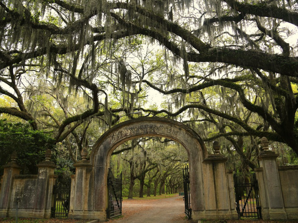 A stone archway with iron gates opens to a tree-lined path draped in Spanish moss—its tunnel-like canopy welcomes Landmark Educational Tours Registration beneath a serene, shaded lane.
