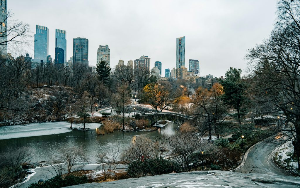 A wintry scene of Central Park in New York City, with bare trees, a partially frozen pond, and modern skyscrapers under an overcast sky—Book Your Winter NYC Trip 2026 to experience this magical setting firsthand.
