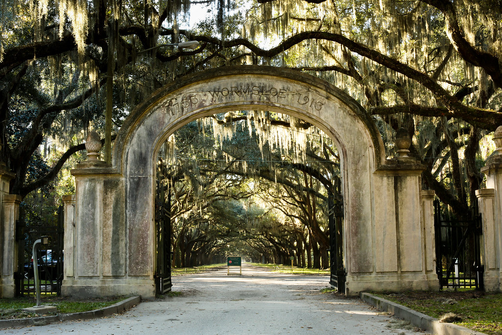 A large stone archway draped with Spanish moss marks the entrance to a tree-lined avenue, where sunlight filters through the branches—an inviting sight that sets the perfect tone for any Savannah Field Trip.
