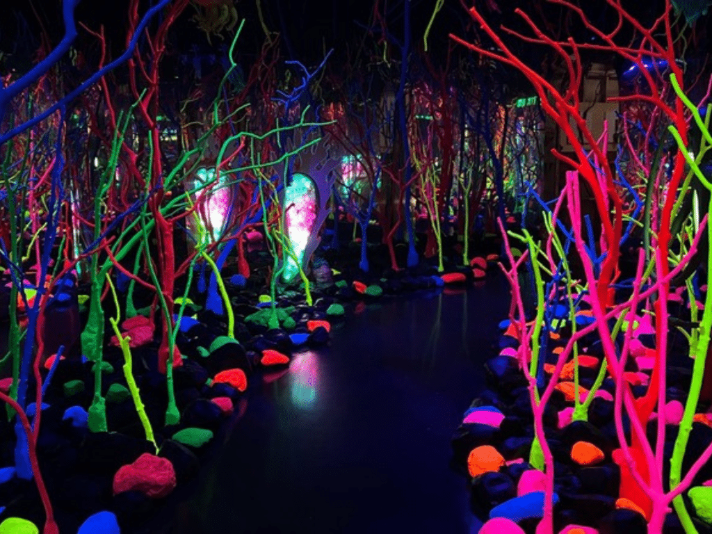 A dark room filled with glowing neon branches and rocks in bright colors like pink, green, blue, and orange creates a surreal, otherworldly forest—perfect for a Landmark Educational Tour Registration experience under blacklight.