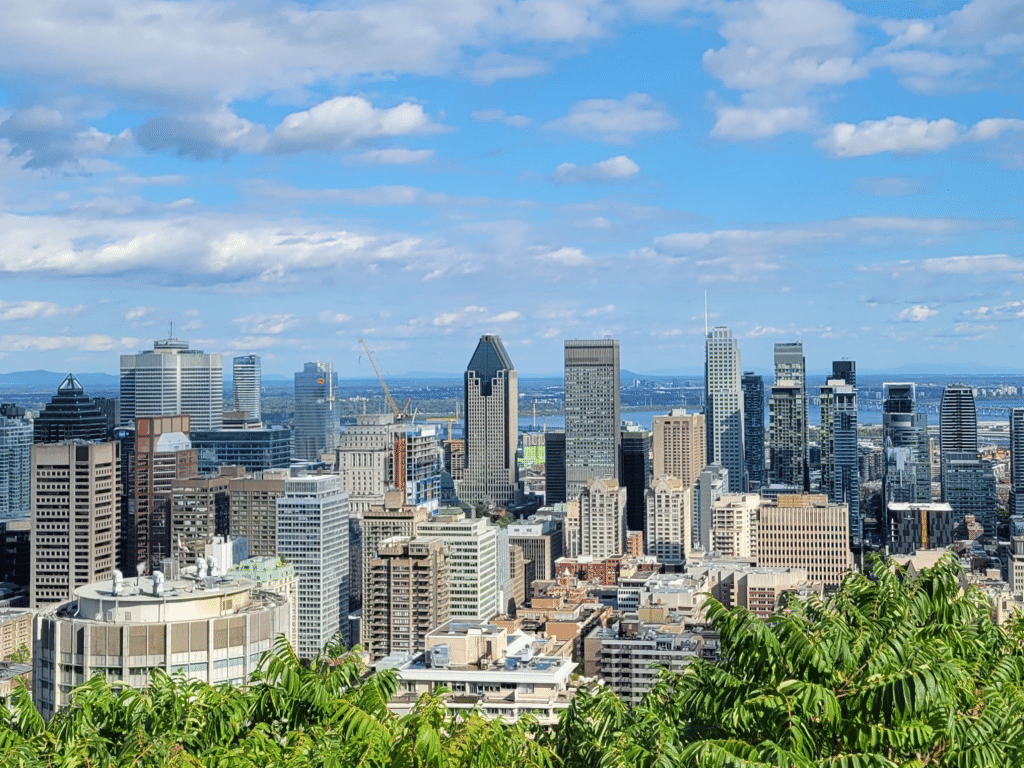 A bright, clear view of a city skyline with modern tall buildings and skyscrapers under a blue sky with scattered clouds, seen from an elevated position with green foliage in the foreground.
