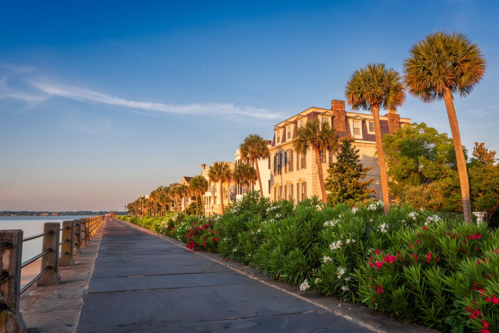 A scenic walkway lined with palm trees, flowering bushes, and historic homes—one of the iconic historic landmarks in Charleston SC—stretches along the waterfront in soft golden sunlight under a clear blue sky.