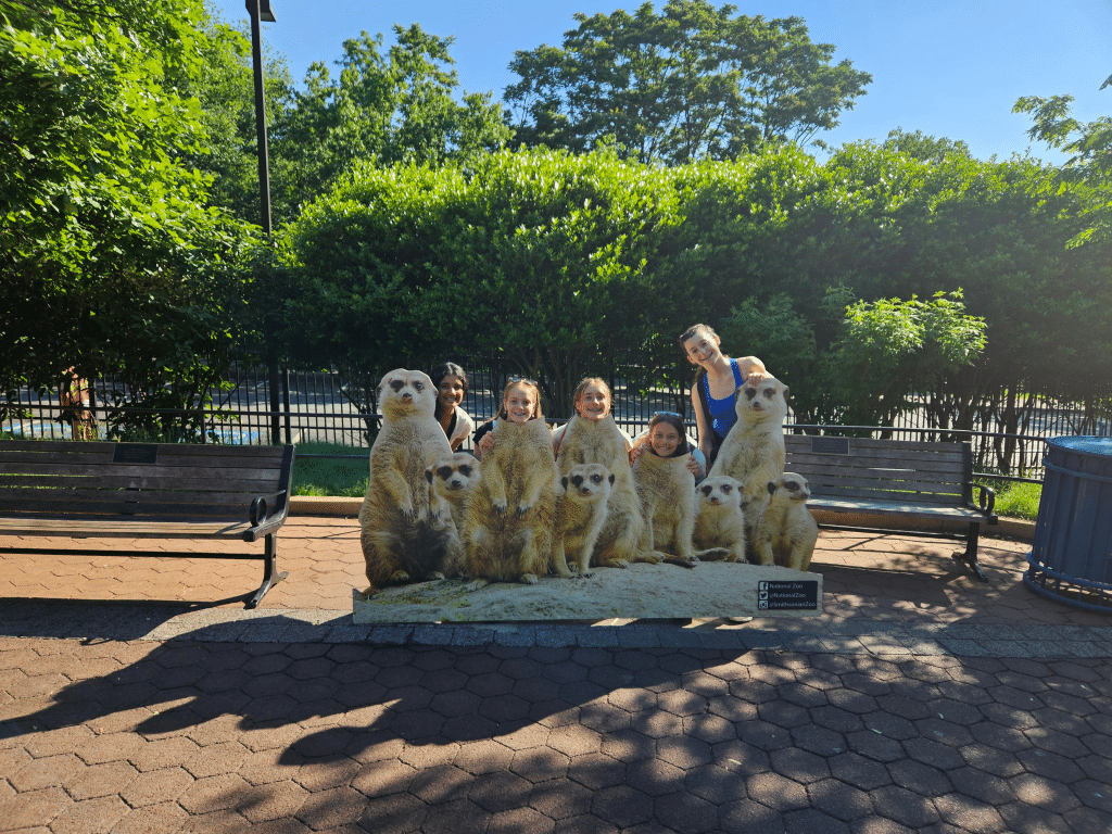 A group of children and an adult pose behind a life-sized meerkat cutout on a bench in a sunny, leafy outdoor area, blending fun with learning—an experience reminiscent of Landmark Educational Tours Registration.