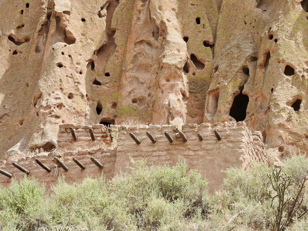 Cliff dwellings built into a rugged, pockmarked rock face in New Mexico, with wooden beams protruding above a stone wall and shrubs growing in the foreground—perfect for a memorable field trip experience.