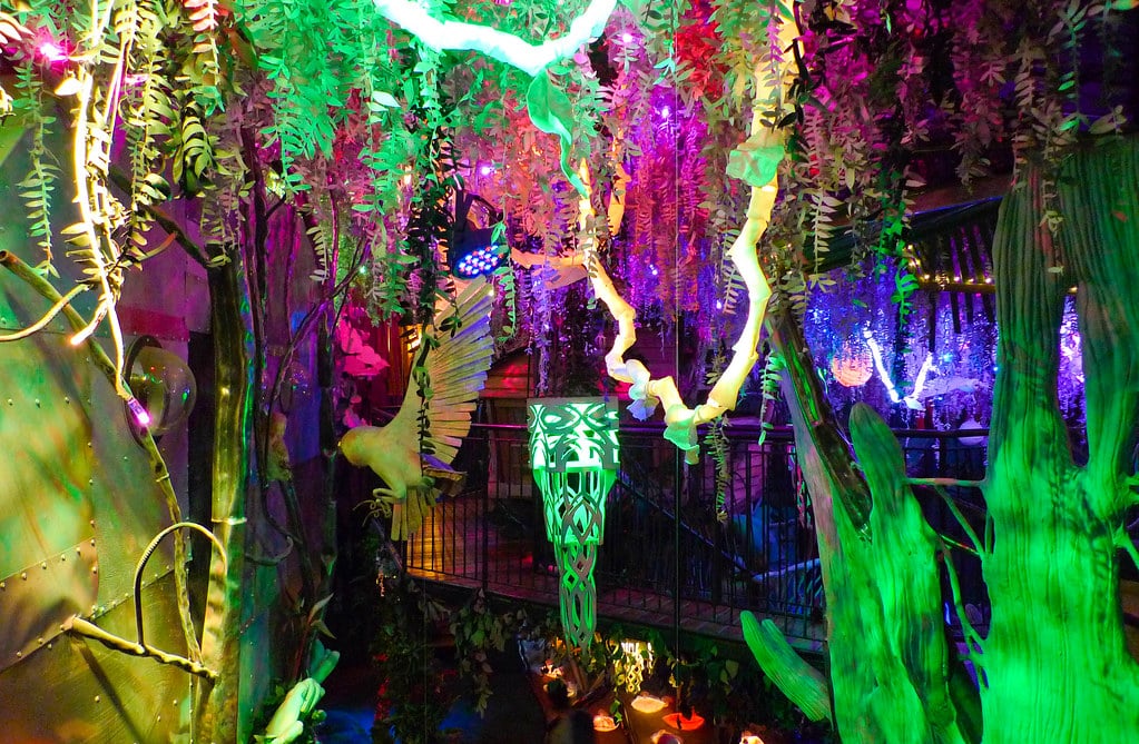 A vibrant, jungle-themed indoor space glows with green, pink, and purple lights—one of the Top 10 things to do on a Santa Fe School Trip—featuring hanging vines, a white bird sculpture, and exotic plants for a magical, fantasy-like atmosphere.