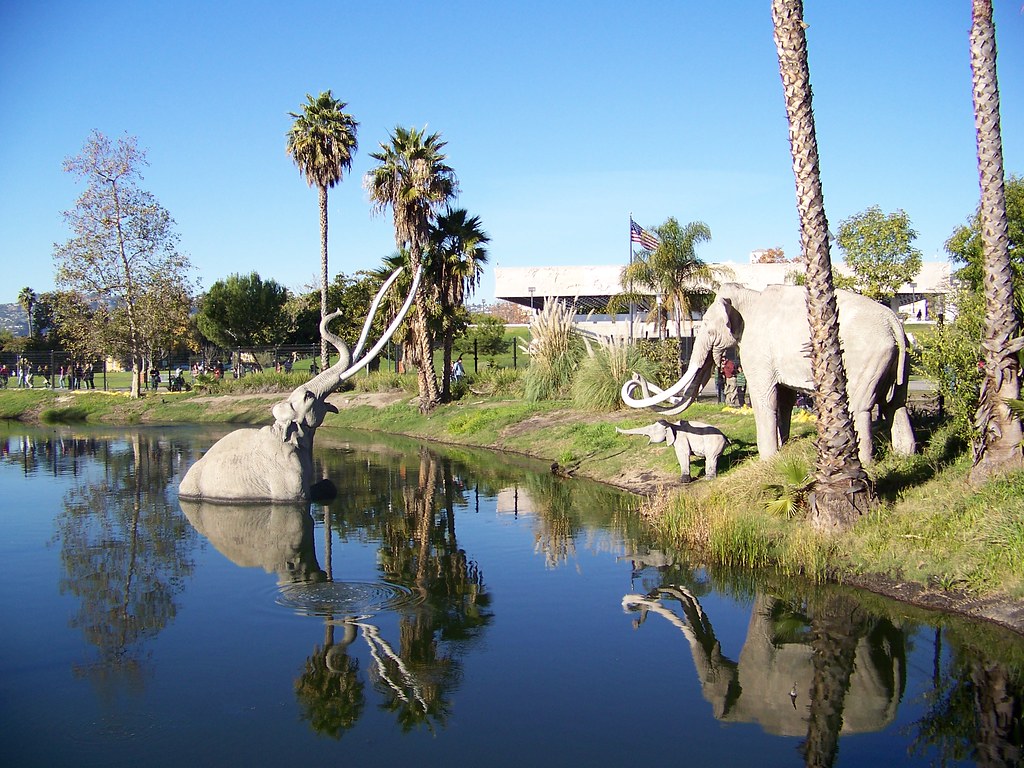 Life-sized statues of mammoths stand beside and in a tar pit surrounded by palm trees, with clear blue sky and the reflection of the scene visible in the water—a memorable spot for Los Angeles Field Trips. An American flag waves in the background.