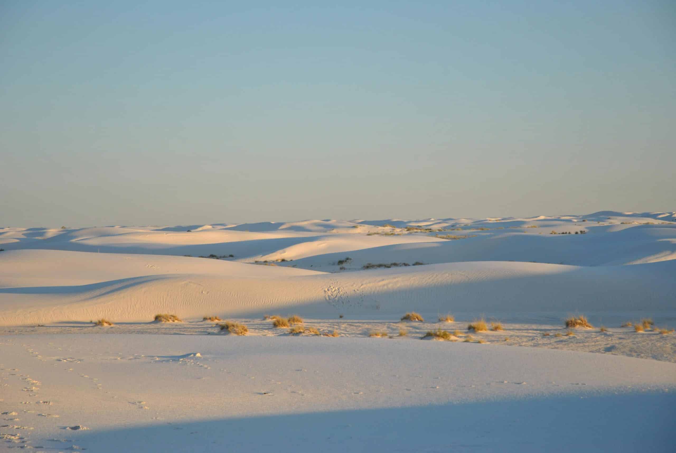 Golden sunlight shines over rolling white sand dunes dotted with tufts of dry grass under a clear blue sky, creating a serene desert landscape perfect for a Field Trip New Mexico adventure.