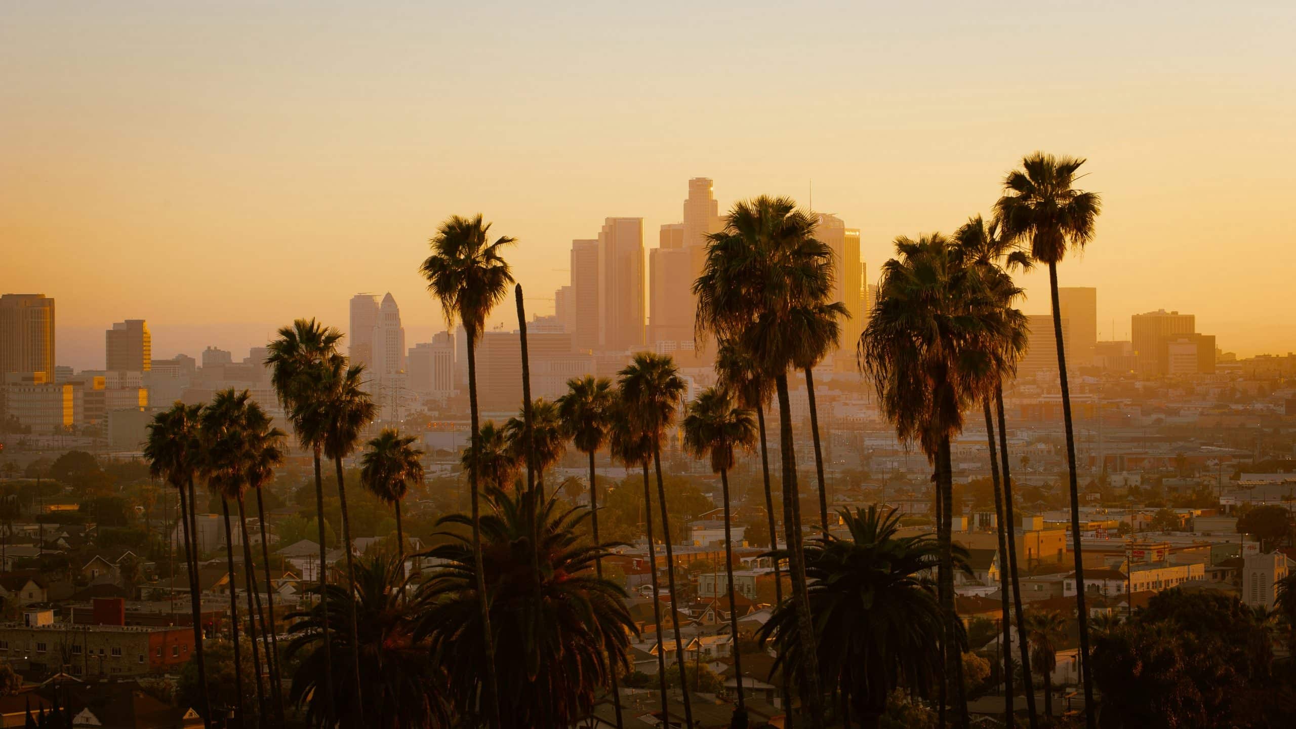 Tall palm trees silhouetted against a hazy orange sunset, with city buildings and the downtown Los Angeles skyline in the background—perfect for capturing the essence of memorable Los Angeles field trips.