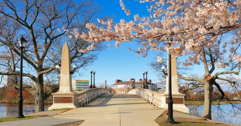 A beautiful, sunny spring morning in Boston. There is a bridge that crosses a small river with a tree in full bloom.