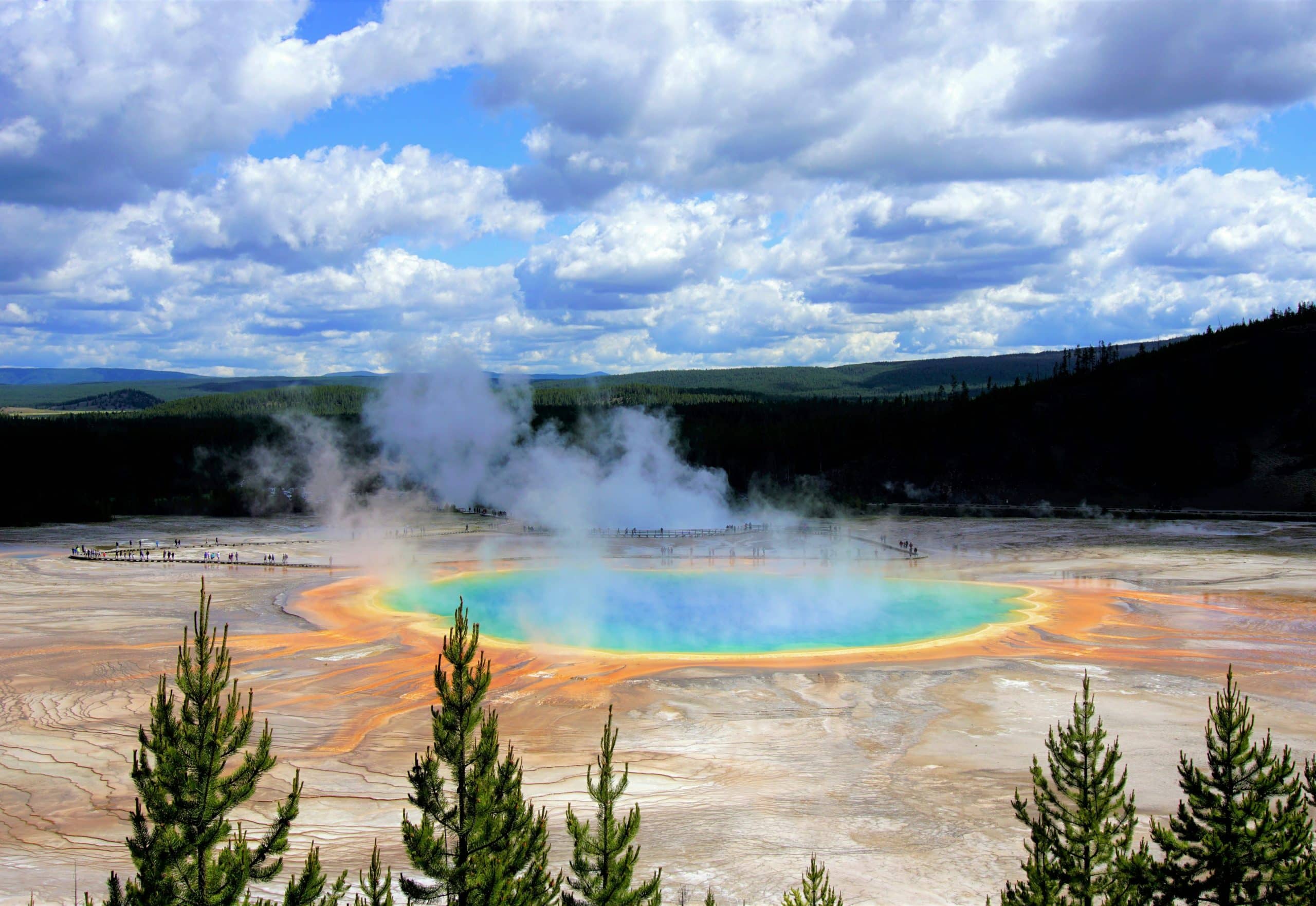 A vibrant hot spring with blue, green, yellow, and orange rings steams beneath a partly cloudy sky, surrounded by trees and distant hills, as people on Yellowstone Field Trips walk along a nearby boardwalk.