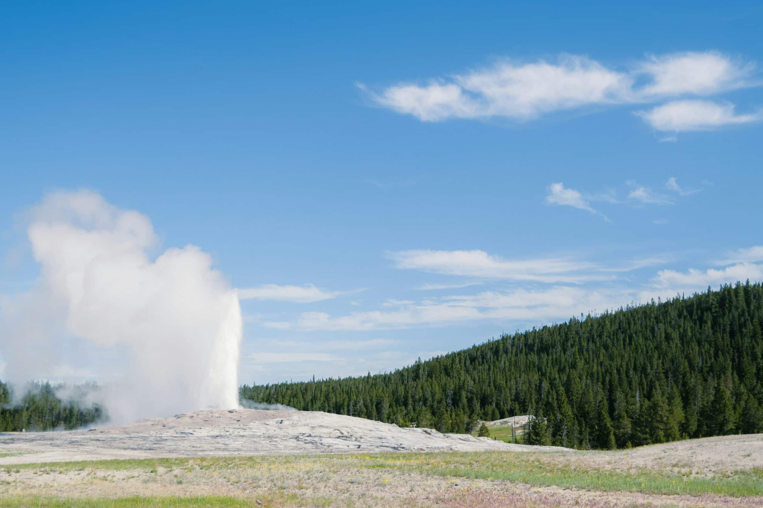 During a Yellowstone School Trip, a geyser erupts, releasing a tall column of steam and water into the air, with green pine trees and a blue sky with scattered clouds in the background.