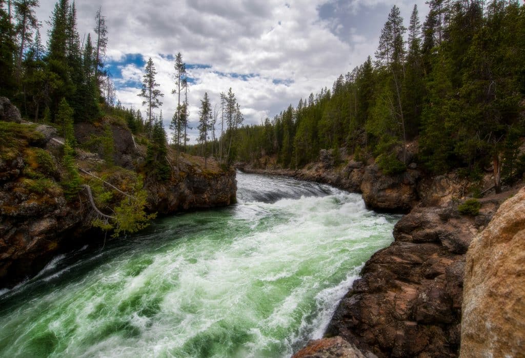 A river with whitewater rapids flows between rocky banks lined with tall pine trees under a partly cloudy sky, creating themes of wilderness adventure and natural beauty.