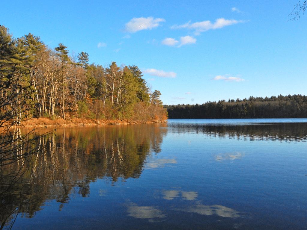 A calm lake reflects surrounding trees and a blue sky with scattered clouds. The peaceful, natural scene is perfect for Landmark Educational Tours Registration, inviting exploration amid pine and leafless trees in early spring or late autumn.