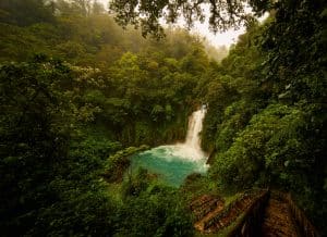 A waterfall flows into a turquoise pool surrounded by dense, lush green jungle; stone steps with railings lead down toward the water under a misty, overcast sky—an ideal scene for Landmark Educational Tours registration photos.