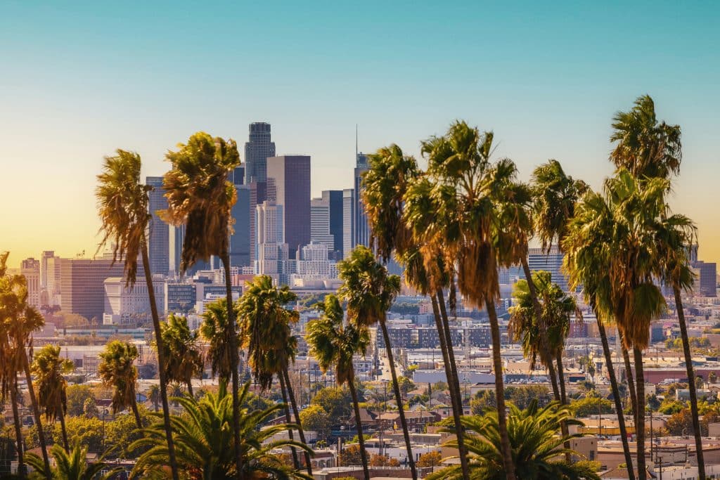 Palm trees in the foreground with the Los Angeles city skyline and skyscrapers in the background under a clear blue sky at sunset—an iconic view that captures the vibrant energy awaiting visitors on educational tours to Los Angeles.