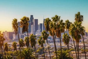 Palm trees in the foreground with the Los Angeles city skyline and skyscrapers in the background under a clear blue sky at sunset—an iconic view that captures the vibrant energy awaiting visitors on educational tours to Los Angeles.