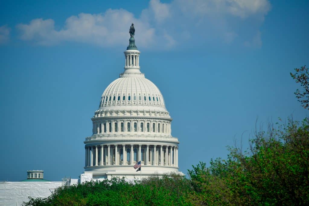 The white dome of the United States Capitol building stands against a clear blue sky, partially framed by green trees—a perfect sight for educational field trips to Washington DC.