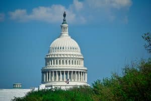 The white dome of the United States Capitol building stands against a clear blue sky, partially framed by green trees—a perfect sight for educational field trips to Washington DC.